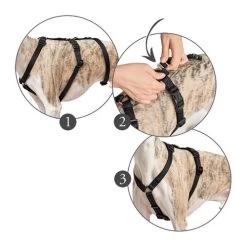 Hunter Vario Rapid Sicherheitsgeschirr - Schwarz -Haustierprodukte hunter vario rapid veiligheidsharnas zwart 169510 0500 none