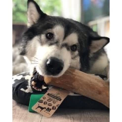 I&I Pet Supplies Kaffeebaum Kauwurzel -Haustierprodukte ii pet supplies koffieboom kauw wortel 129623 0500 none