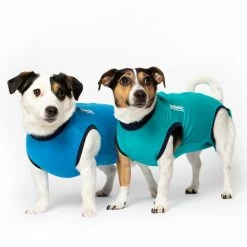 Jacketz Medical Body Suit Für Hunde -Haustierprodukte jacketz medical body suit hond 209516 0500 none