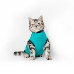 Jacketz Medical Body Suit Für Katzen -Haustierprodukte jacketz medical body suit kat 209789 0500 none