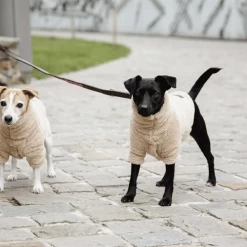 Kentucky Dogwear Hundejacke Teddy Fleece 7 Kentucky Dogwear Hundejacke Teddy Fleece -Haustierprodukte kentucky dogwear hondenjas teddy fleece 219186 0500 none