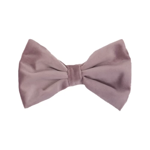 Kentucky Dogwear Fliege Samt 4 Kentucky Dogwear Fliege Samt - Image 4