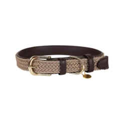 Kentucky Dogwear Nylon Hundehalsband -Haustierprodukte kentucky dogwear nylon hondenhalsband 219176 0500 none