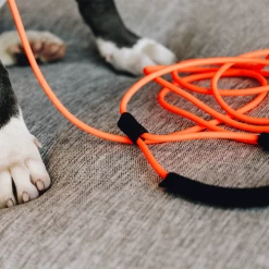 Kentucky Dogwear Schleppleine Soft Rubber -Haustierprodukte kentucky dogwear sleeplijn soft rubber 219203 0500 none