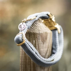 Kentucky Dogwear Velvet Hundehalsband -Haustierprodukte kentucky dogwear velvet hondenhalsband 219236 0500 none