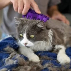 KONG Cat - Zoom Groom -Haustierprodukte kong kat zoom groom 162805 0500 none