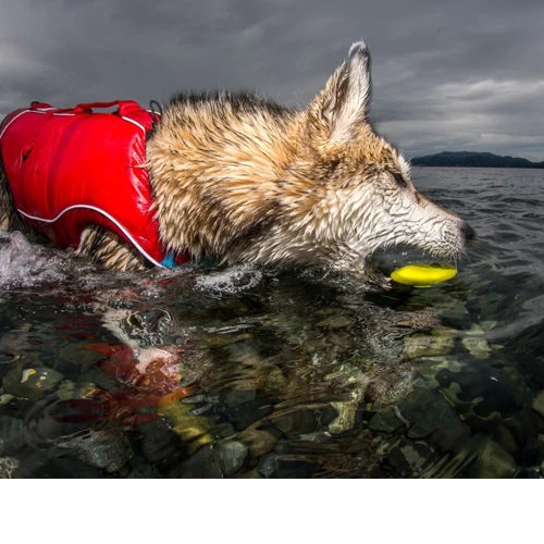 Kurgo Skipping Stones 6 Kurgo Skipping Stones - Image 6