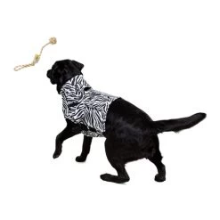 Medical Pet Top Shirt Zebra -Haustierprodukte medical pet top shirt zebraprint 150701 0500 none
