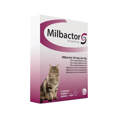 Milbactor Katze 3 Milbactor Katze - Image 3