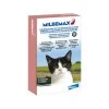 Milbemax Katze