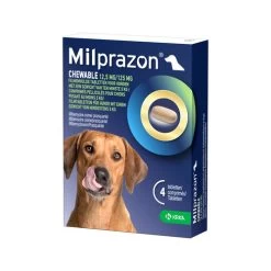Milprazon Chewable Hund 7 Milprazon Chewable Hund -Haustierprodukte milprazon chewable hond 206285 0500 none