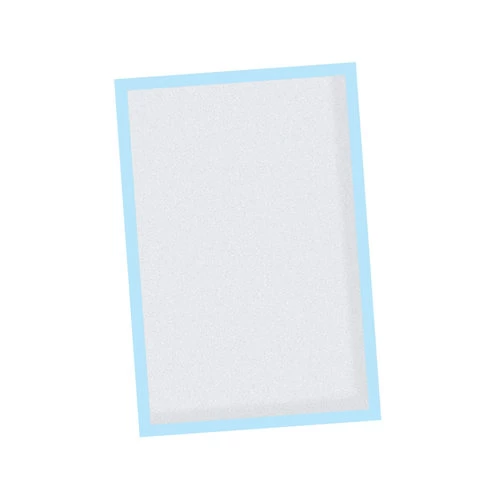 Nobby Doggy Trainer & Pads 2 Nobby Doggy Trainer & Pads - Image 2