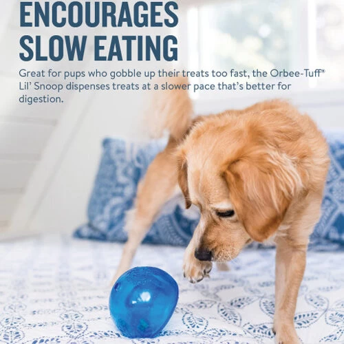 Planet Dog Orbee-Tuff Lil’ Snoop Toy 9 Planet Dog Orbee-Tuff Lil’ Snoop Toy - Image 9