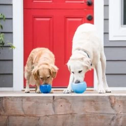 Planet Dog Orbee-Tuff Lil’ Snoop Toy 19 Planet Dog Orbee-Tuff Lil’ Snoop Toy -Haustierprodukte orbee tuff lil snoop toy 203408 0500 none