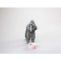 PAIKKA Slow Feed Bowl -Haustierprodukte paikka slow feed bowl 217878 0500 none