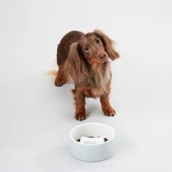 PAIKKA Slow Feed Bowl -Haustierprodukte paikka slow feed bowl 217879 0500 none