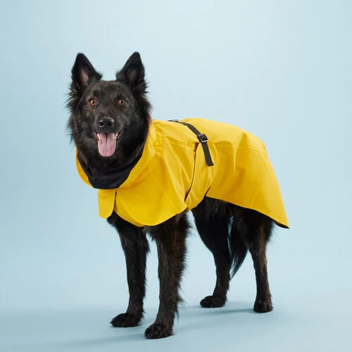 PAIKKA Visibility Raincoat Lite Yellow 2 PAIKKA Visibility Raincoat Lite Yellow - Image 2