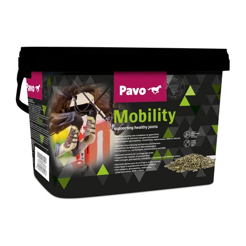 Pavo Mobility 1 Pavo Mobility