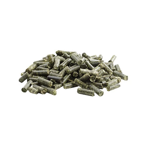 Pavo Vital 3 Pavo Vital - Image 3