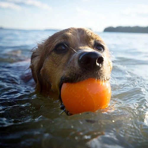 Planet Dog Orbee Tuff Squeak Ball - Orange – Bild 6