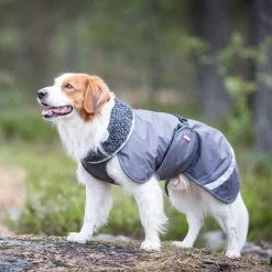 Pomppa Perus Hundejacke -Haustierprodukte pomppa perus hondenjas 215732 0500 none