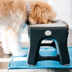 Popware Pet Bowl Grippmat 7 Popware Pet Bowl Grippmat -Haustierprodukte popware pet bowl grippmat 164719 0500 none