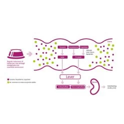 Porus One -Haustierprodukte porus one 134455 0500 none