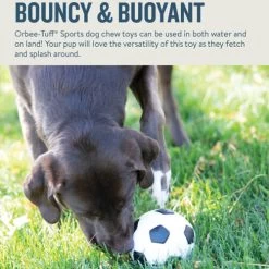 Planet Dog Orbee-Tuff Soccer Ball 11 Planet Dog Orbee-Tuff Soccer Ball -Haustierprodukte prod 14590 203615 0500 none