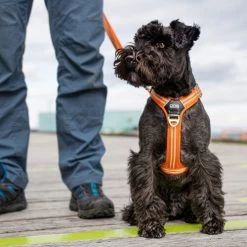 DOG Copenhagen Comfort Walk Air Geschirr -Haustierprodukte prod 15939 220308 0500 none