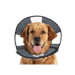 ZenPet Zen Collar -Haustierprodukte prod 5332 89025 0500 none