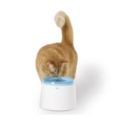 Catit Fresh & Clear Drinking Fountain 7 Catit Fresh & Clear Drinking Fountain -Haustierprodukte product catit fresh clear drinking fountain 2l none 4 1465984674 69903