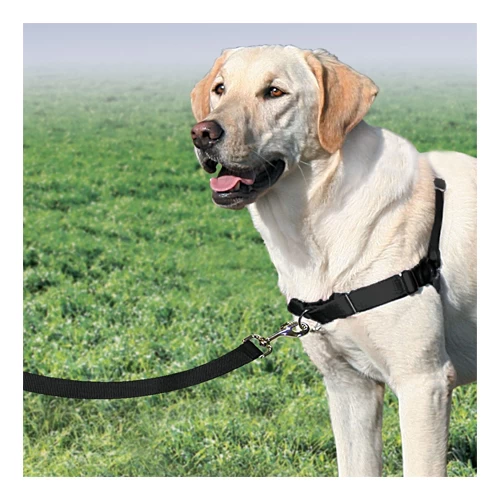 PetSafe Easywalk Trainigsgeschirr 2 PetSafe Easywalk Trainigsgeschirr - Image 2