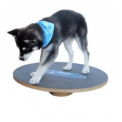 FitPAWS Wobble Board