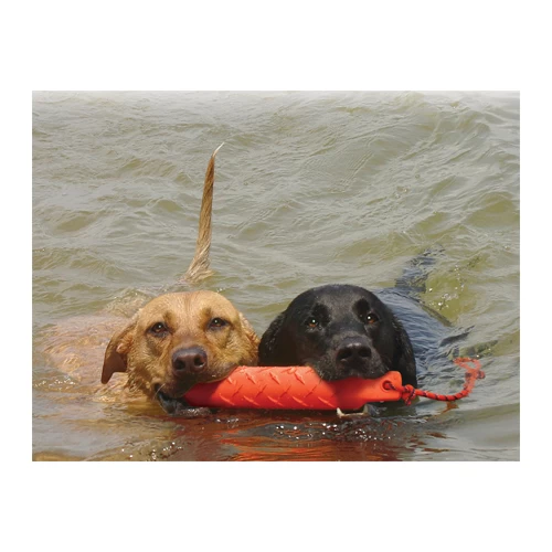 KONG Training Dummy 6 KONG Training Dummy - Image 6