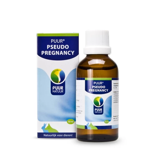 Puur Pseudo Pregnancy 1 Puur Pseudo Pregnancy