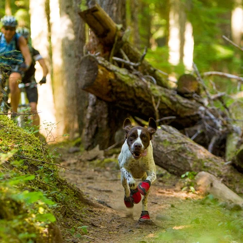 Ruffwear Grip Trex Boots – Bild 11