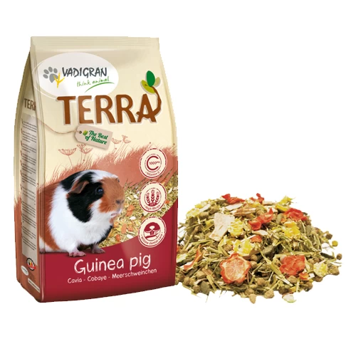Vadigran Terra Cavia (Meerschweinchen) 2 Vadigran Terra Cavia (Meerschweinchen) - Image 2