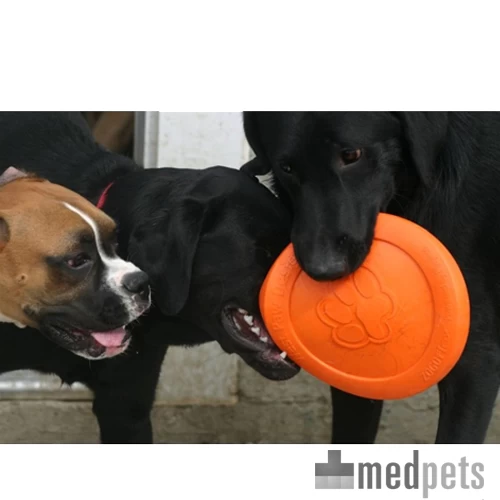 Zogoflex Zisc - Flying Disc – Bild 3