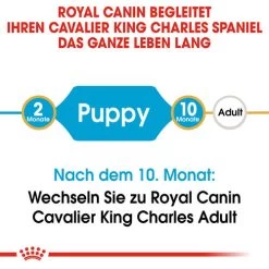 Royal Canin Cavalier King Charles Puppy - Hundefutter 13 Royal Canin Cavalier King Charles Puppy - Hundefutter -Haustierprodukte royal canin cavalier king charles puppy hondenvoer 137905 0500 none