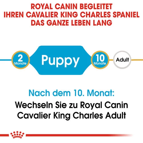 Royal Canin Cavalier King Charles Puppy - Hundefutter 6 Royal Canin Cavalier King Charles Puppy - Hundefutter - Image 6