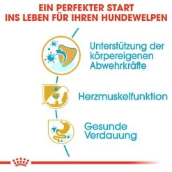 Royal Canin Cavalier King Charles Puppy - Hundefutter 10 Royal Canin Cavalier King Charles Puppy - Hundefutter -Haustierprodukte royal canin cavalier king charles puppy hondenvoer 137923 0500 none