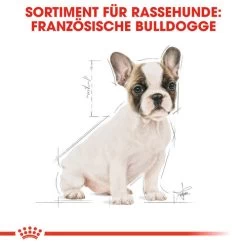 Royal Canin French Bulldog Puppy - Hundefutter -Haustierprodukte royal canin french bulldog puppy hondenvoer 138718 0500 none