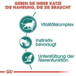 Royal Canin Instinctive 7+ In Gravy - Katzenfutter -Haustierprodukte royal canin instinctive 7 in gravy kattenvoer 127868 0500 none