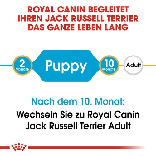 Royal Canin Jack Russell Terrier Puppy - Hundefutter 5 Royal Canin Jack Russell Terrier Puppy - Hundefutter - Image 5