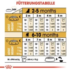 Royal Canin Jack Russell Terrier Puppy - Hundefutter 14 Royal Canin Jack Russell Terrier Puppy - Hundefutter -Haustierprodukte royal canin jack russell terrier puppy hondenvoer 139327 0500 none