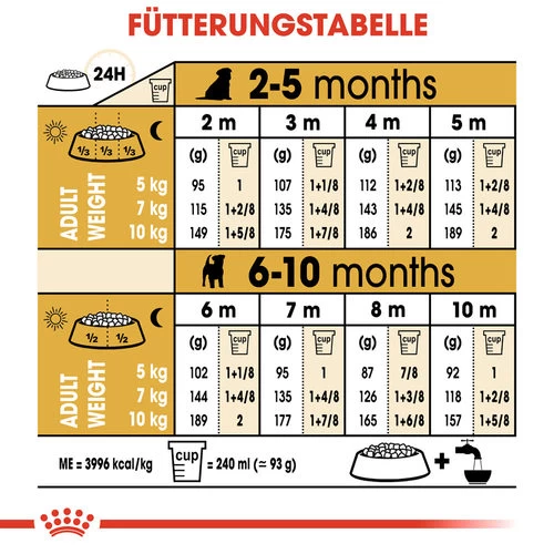 Royal Canin Jack Russell Terrier Puppy - Hundefutter 7 Royal Canin Jack Russell Terrier Puppy - Hundefutter - Image 7