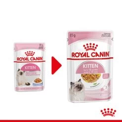 Royal Canin Kitten In Jelly - Katzenfutter -Haustierprodukte royal canin kitten in jelly kattenvoer 207116 0500 none