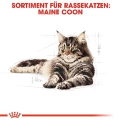 Royal Canin Maine Coon Adult - Katzenfutter 10 Royal Canin Maine Coon Adult - Katzenfutter -Haustierprodukte royal canin maine coon adult kattenvoer 124910 0500 none