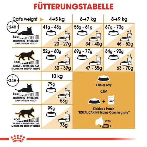 Royal Canin Maine Coon Adult - Katzenfutter 6 Royal Canin Maine Coon Adult - Katzenfutter – Bild 6