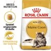 Royal Canin Maine Coon Adult - Katzenfutter